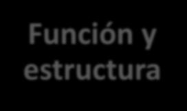 CIF Función y estructura