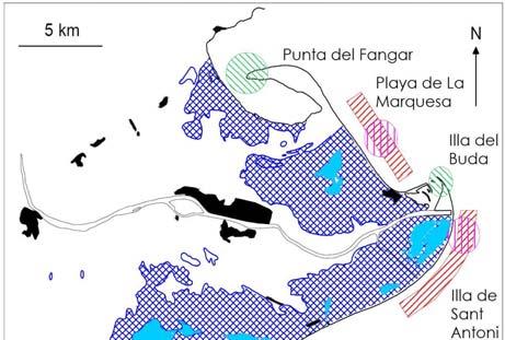 13. COSTAS Playa de la Marquesa, que está sometida a tasas de erosión actuales del orden de 2 m/a y, al ser el ancho de playa emergida en algunas zonas relativamente pequeño, es probable que la zona