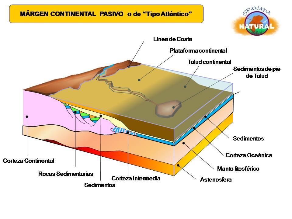 2. De la deriva continental a la tectónica de placas Actividad 7, pág.
