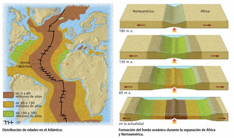 2. De la deriva continental a la tectónica de placas