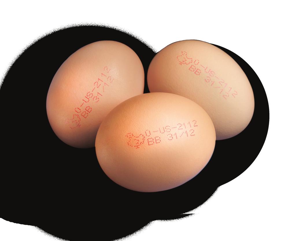 codificación de huevos en línea Si las fechas de caducidad, la información de trazabilidad y la información de la marca están visibles en el huevo, podríamos obtener ventajas notables: ofrecen al