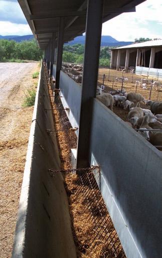 Sistemas de alimentación e instalaciones la explotación de ganado estabulado PDF Free Download