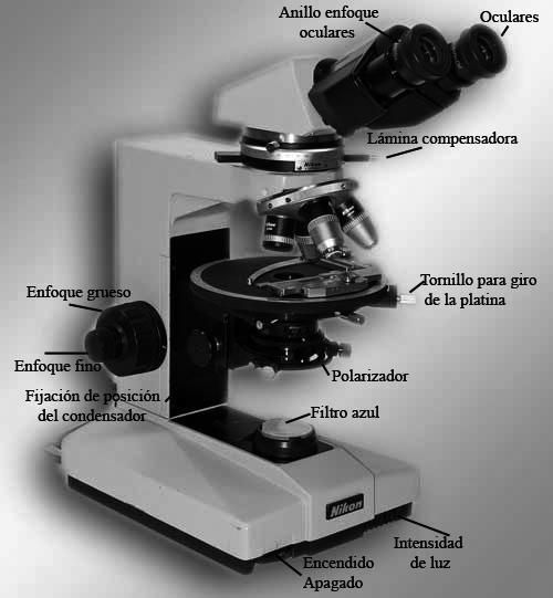 Figura 1. Esquema de un microscopio de polarización.