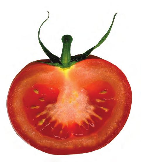 EL LABORATORIO PROFECO REPORTA Tomate rojo, jitomate o, de forma más simple, tomate.
