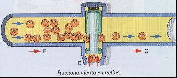 Analizaremos su funcionamiento a través de un símil con un circuito de agua: Imaginemos una tubería que dispone de una llave de paso B con un muelle de cierre cuya resistencia