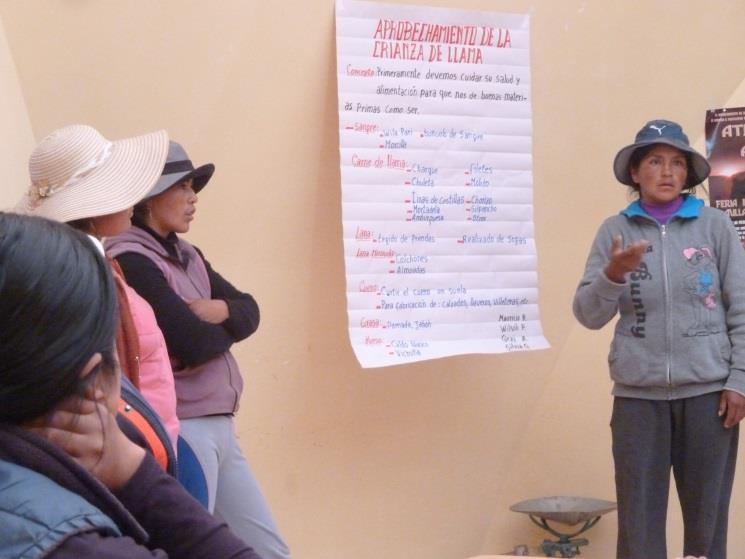 Modos de cooperación entre campesinos Ejemplo en Bolivia Comunidad Aymara en el Intersalar :