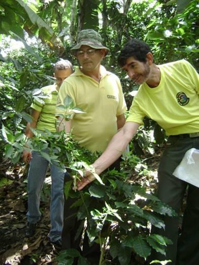 Biocorredor Agroforestal Café Cacao Actividades emprendidas: Restauración y protección de las microcuencas.