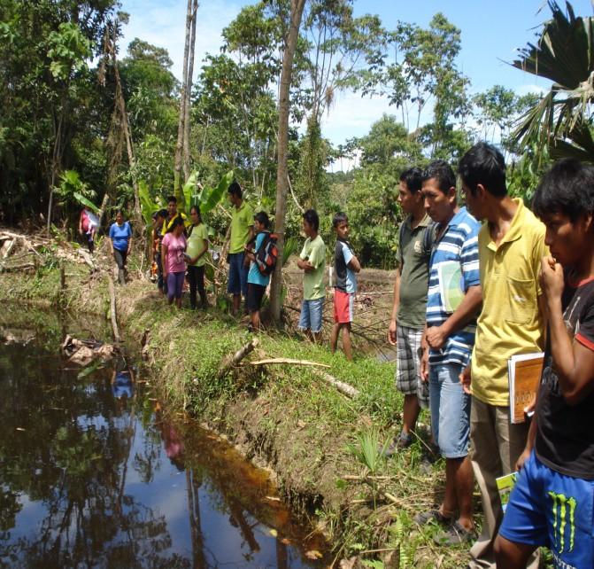 Biocorredor Kamawí Áreas de Conectividad: Reserva Biológica del Rio Bigal, BP Hollín Loreto, PN
