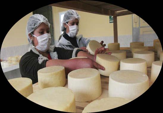 Por ejemplo, una compañía que elabora y envasa queso forma parte de la industria del queso, de la