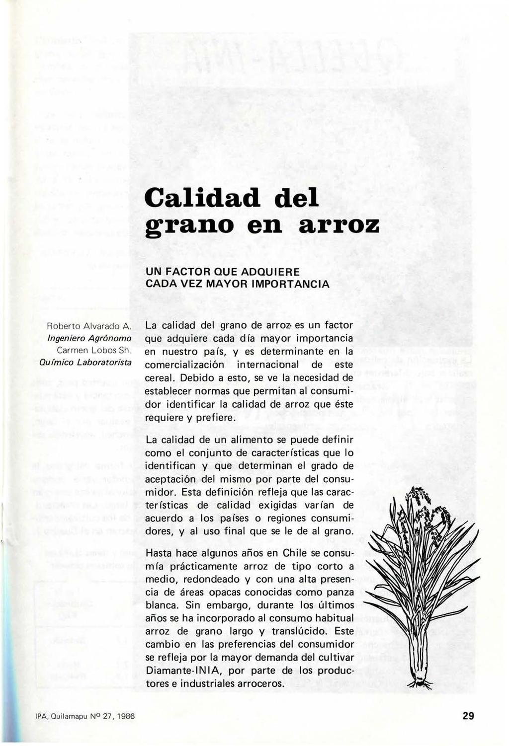 Calidad del grano en arroz UN FACTOR QUE ADQUIERE CADA VEZ MAYOR IMPORTANCIA Roberto Alvarado A. Ingeniero Agrónomo Carmen Lobos Sh.