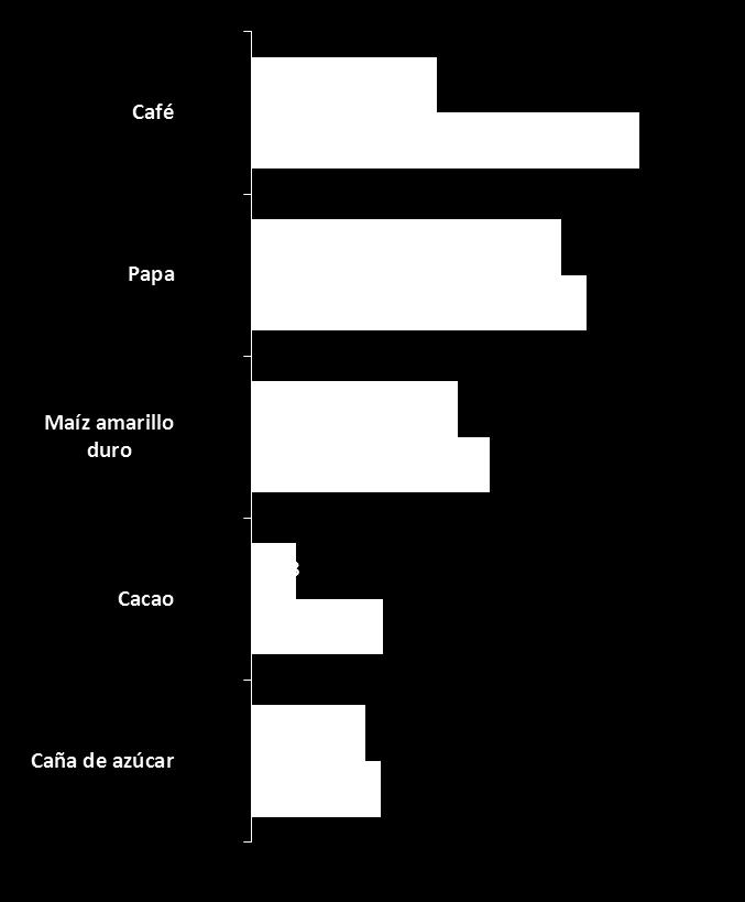 CAFÉ CULTIVO PRINCIPAL 1994 2012