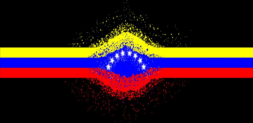 Experiencia de Venezuela