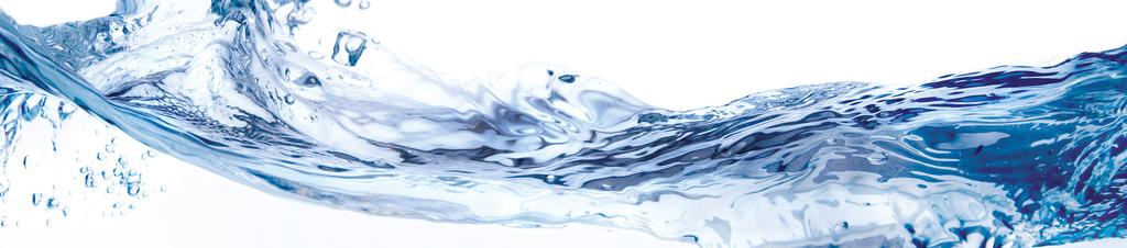 Departamento de Servicios Públicos de Agua del Condado de Palm Beach Informe anual de calidad del agua Agua suministrada en el transcurso del año 2015 - Ciudades de Belle Glade, Pahokee y South Bay