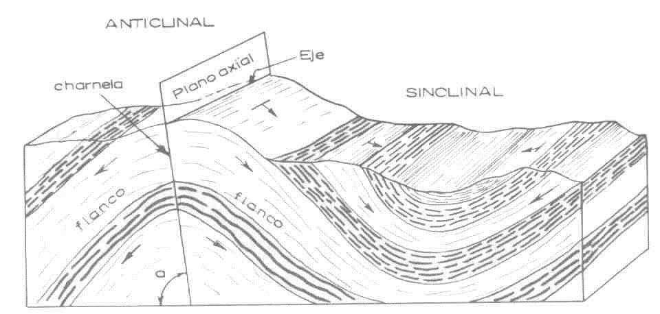Elementos geométricos de un pliegue: 1. Charnela: zonas de mayor curvatura de un pliegue 2.