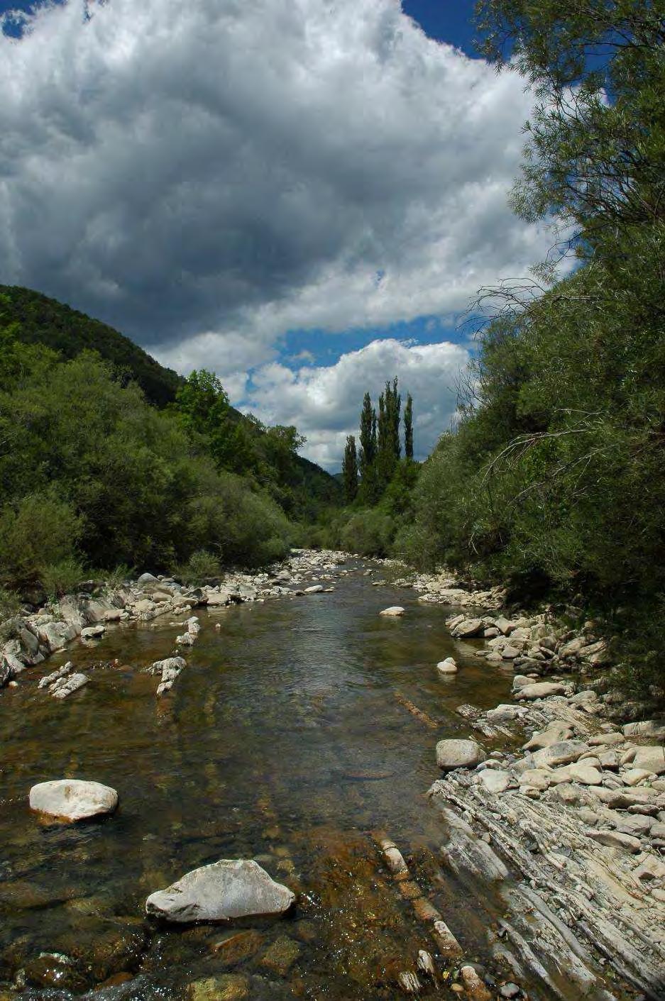 CUENCA DEL RÍO ARAGÓN El río desde su nacimiento hasta su salida de la provincia de Zaragoza y todas las aguas que afluyan a este tramo.