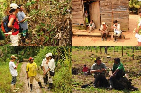 64 Plantas medicinales de los Andes y la Amazonia Bussmann & Sharon 65 de la comunidad local dentro del marco del Protocolo de Nagoya (Fig. 20), así como la autoría de los colaboradores locales (Fig.