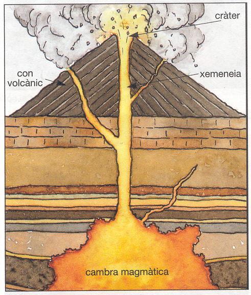 Els volcans Els volcans són esquerdes de l escorça de la Terra per les quals el magma de l interior del mantell surt a l'exterior. L'origen dels volcans és el mateix que el dels terratrèmols.