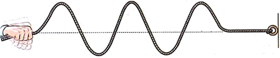 ELEMENTOS ESPACIALES AMPLITUD Distancia desde la posición de equilibrio hasta la cresta o el valle de la onda Elongación