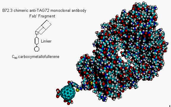 Los fullerenos son también muy prometedores en cuanto a aplicaciones en biomedicina: tienen propiedades antioxidantes, por su facilidad para captar radicales también son antivirales, por su capacidad