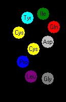 Estructura de enlaces y aminoácidos que conforman la