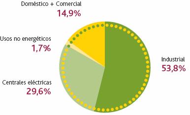 3. Satisface la creciente demanda: IV. ASPECTOS CLAVE Crecimiento del consumo de gas natural en España (2005) Total: 17,6% más que 2004.