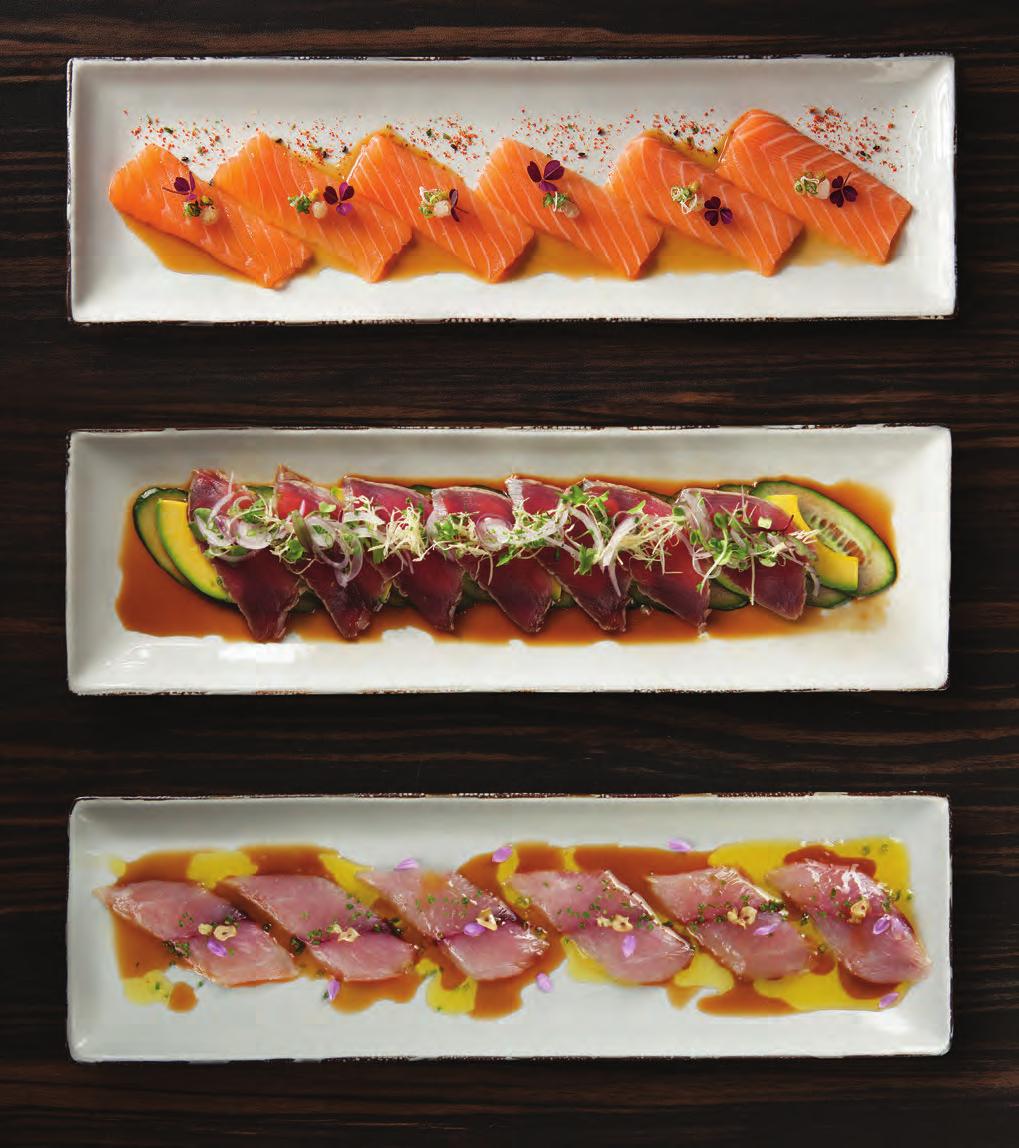 20 TODO WOK #9 SUSHI SALMÓN TOSAZU Sashimi de salmón, salsa tosazu, salsa soya, shichimi wok (mezcla de 7 especias) y rábano. $19.