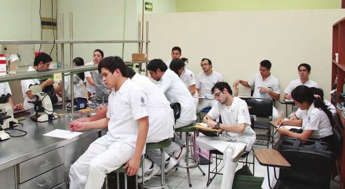 LICENCIATURA Programas Educativos La Universidad Autónoma de Yucatán ha realizado esfuerzos permanentes por mantener una oferta educativa de licenciatura que atienda