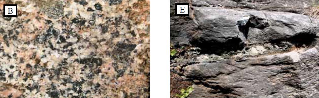 B) graniodorita de biotita en afloramiento con feldespato
