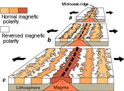 Reversión del campo B Evidencia geológica de reversión del campo: basaltos, suelos de fondos marinos.