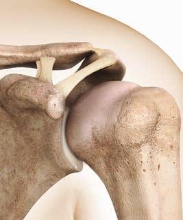 El hombro se mueva fácilmente gracias a dos articulaciones principales: Articulación glenohumeral Comúnmente denominada la articulación del hombro, la articulación glenohumeral permite mover el