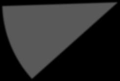 PASO 2009-2011
