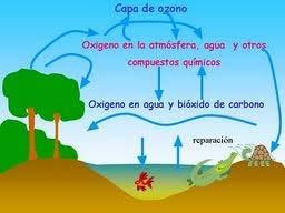 En el ciclo del carbono geológico se estima que existe 6.4x10 15 ton de carbono orgánico con una vida media de varios millones de años.