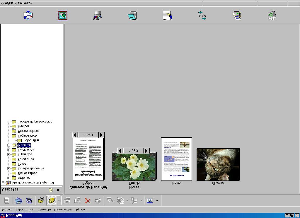 Uso de ScanSoft PaperPort y TextBridge OCR ScanSoft PaperPort para Brother es una aplicación de gestión de documentos. PaperPort se utiliza para ver documentos escaneados.