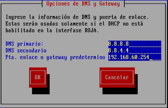 Configuramos DNS y Gateway como