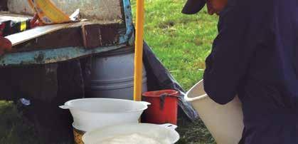 ANÁLISIS ECONÓMICO Concentración del mercado de la leche, es gigantesca Empresas que tienen asiento en Asoleche compran el 42% del total de la producción de leche en el país y con Colanta este