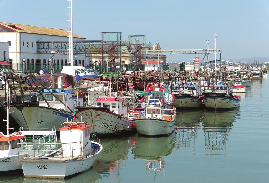 Diagnóstico Inicial del Sector Pesquero y Acuícola de la Provincia de Huelva Antigüedad de la flota pesquera operativa de Isla Cristina.