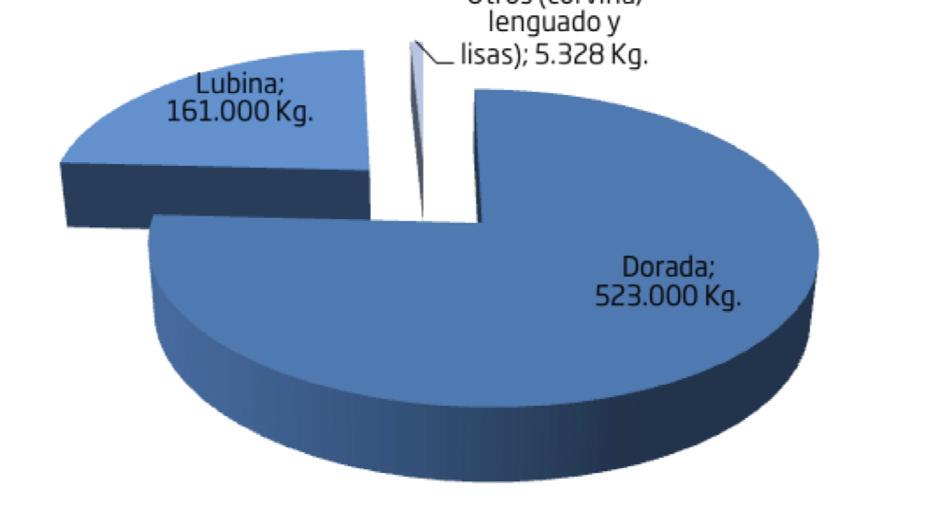 Engorde Producción peces (2015) _ Dorada:±523.000 Kg _ Lubina: ±161.000 Kg _ Corvina: ± 2.000 Kg _ Leguado: ±1.500 Kg _ Lisas: ± 1.738 Kg _ Total peces: ± 689.200 Kg Foto 3.