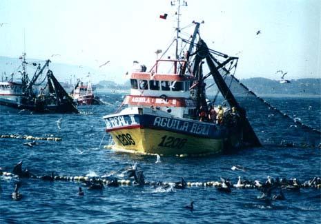 La Flota Pesquera Artesanal Pelágica Chilena