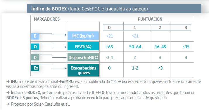 Índice BODEx 3 puntos Guía Española de la EPOC
