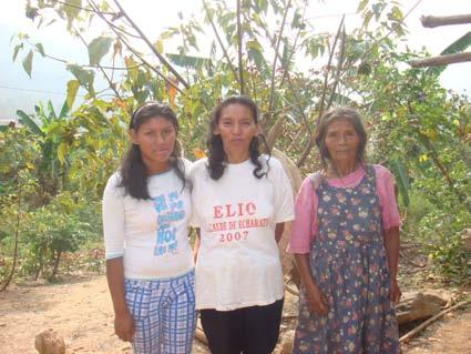 cuatro comunidades Boras, Huitoto y Ocainas del Ampiyacu (Loreto, 2011), y una comunidad Machiguenga Koribeni (Cusco, 2010-2011).
