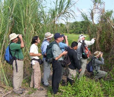 Síntesis de Gestión del IIAP 2006-2012 Apoyo a la conservación y uso sostenible de la diversidad biológica en la Amazonía peruana En los bosques de Amazonas, Loreto y San Martín, del 2007 al 2011,