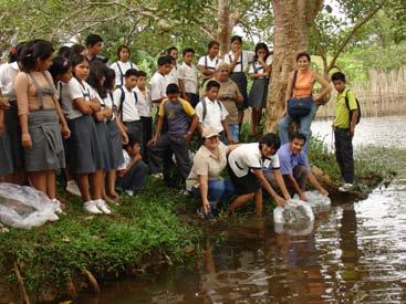 En el periodo 2006 2011, la capacitación fue dirigida a 300 estudiantes y 10 docentes de cinco colegios en Loreto, y orientada a la crianza de peces amazónicos, como paco y