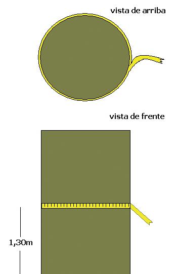 Figura 5. Medición de diámetro de un árbol en pie con cinta diamétrica o cinta métrica común.