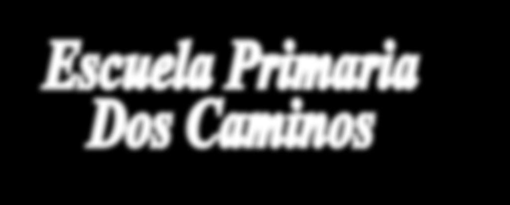 Primaria Dos Caminos 2011-2012 Informe Escolar Anual Directora Erica 