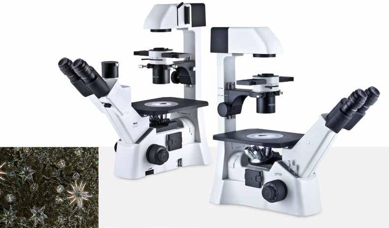AE30 Upgradeable Live Cell Microscope Platform Estativo del Microscopio Diseñado como microscopio invertido para numerosas aplicaciones, el AE30 está disponible con tres estativos distintos: una