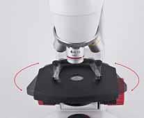 Platina deslizable RED100 Series La línea ideal de microscopios para estudiantes de primaria y secundaria RED100 Cabezal monocular inclinado 45º y giratorio 360º Ocular gran campo WF10X/18mm con