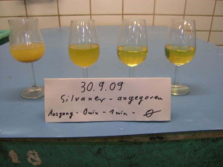 Silvaner en fermentación (0,5 Vol %) 4 NTU
