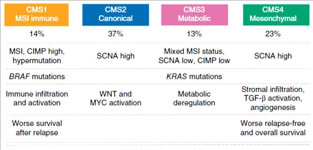 P á g i n a 42 Figura 3: Características de los CMPs, incluyendo frecuencia, pronóstico y características genéticas y metabólicas. Obtenido de Guinney et al.