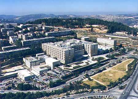 Resumiendo... Centros médicos de Israel, Universidad Hebrea y Hospital Shaare Zedek, Jerusalem Silenseed Ltd.