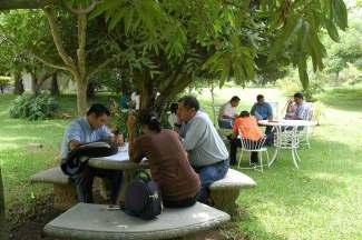 Niveles de Acción Organizaciones del sector cafetalero: CAFENICA, CONACAFE, IHCAFE Programas de desarrollo